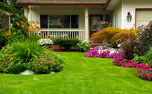 Turf Rangers Picture 6