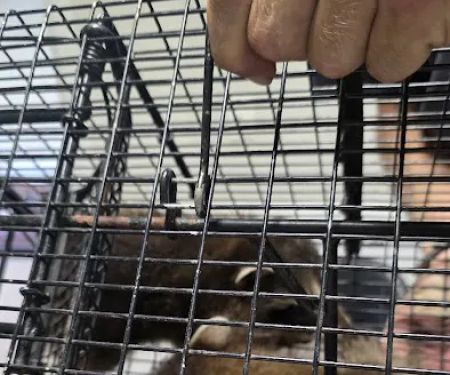 Final Trace Wildlife Solutions, LLC