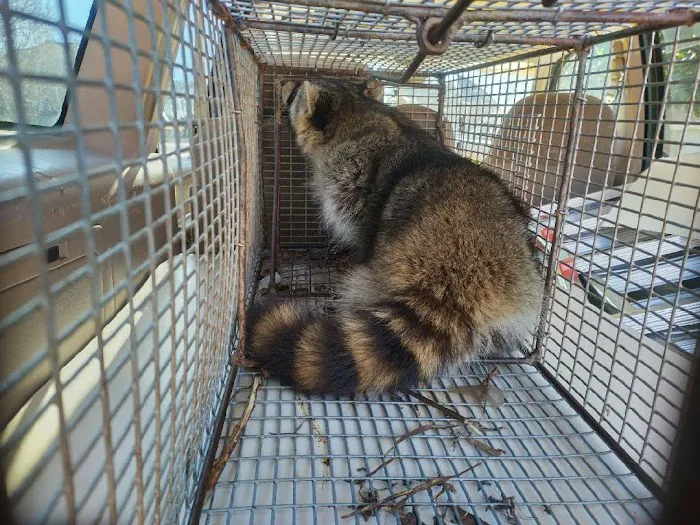 Final Trace Wildlife Solutions, LLC Picture 10
