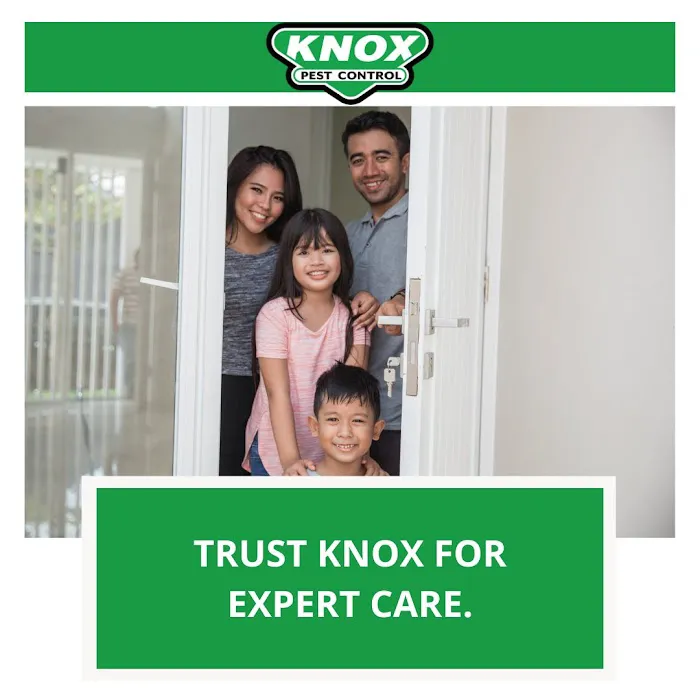 Knox Pest Control Picture 2