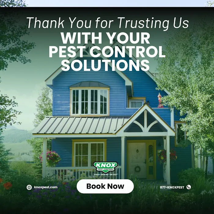 Knox Pest Control Picture 4