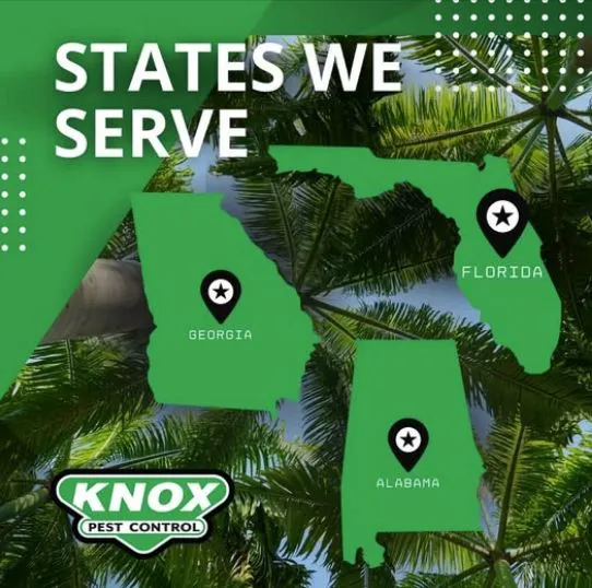 Knox Pest Control Picture 1