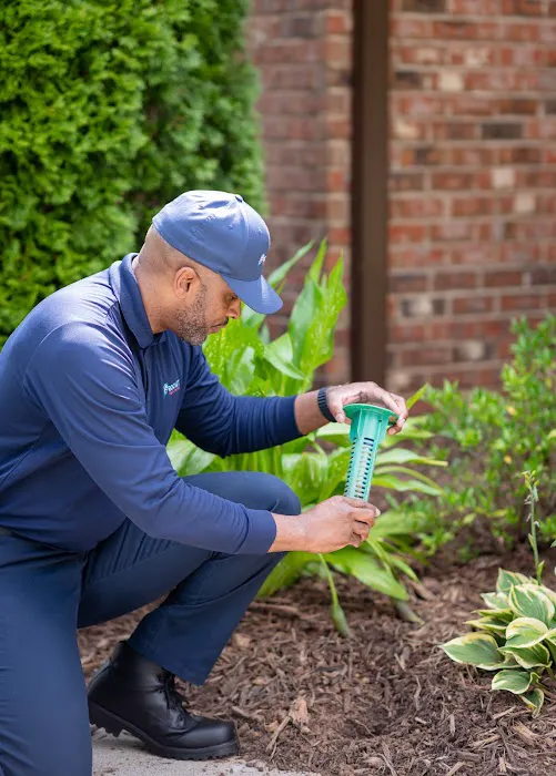 Rocket Pest Control Picture 4