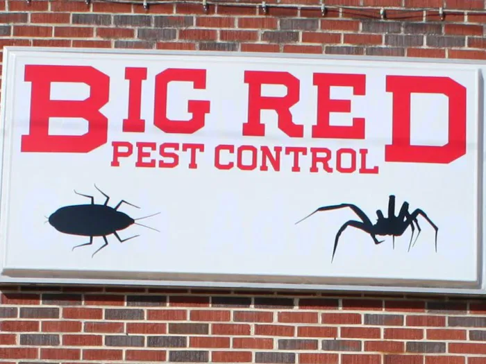 Big Red Pest Control Picture 1