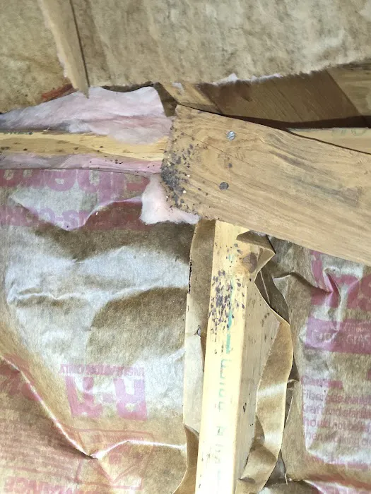 Fireline Pest Control Picture 2