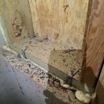Fireline Pest Control