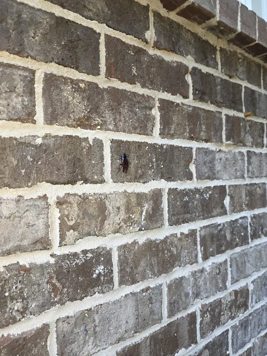 Fireline Pest Control Picture 9