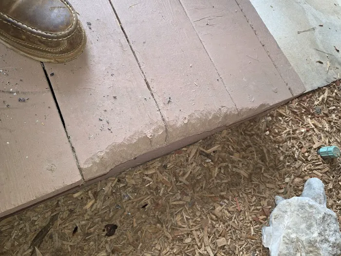 Fireline Pest Control Picture 3