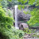 Culp's Pest Control Services