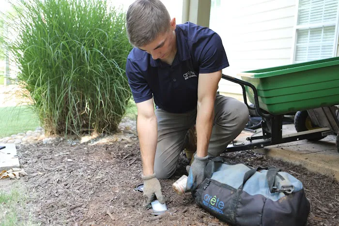 Arete Pest Control Picture 5