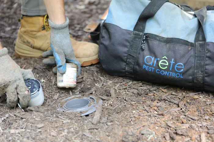 Arete Pest Control Picture 3