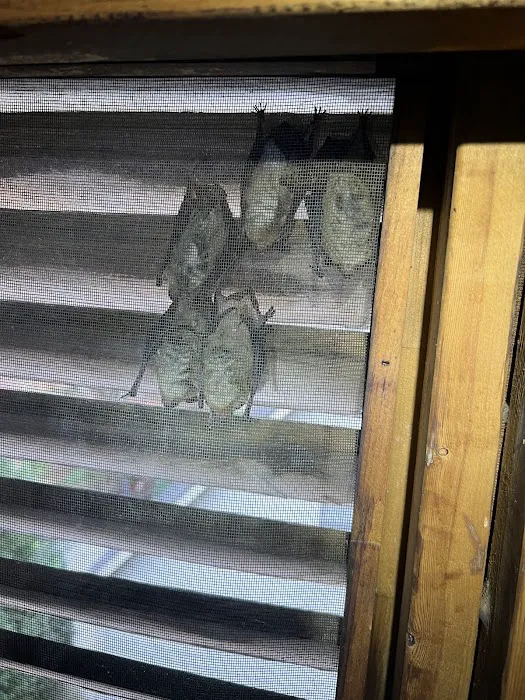 Smart Solutions Wildlife Removal Picture 5