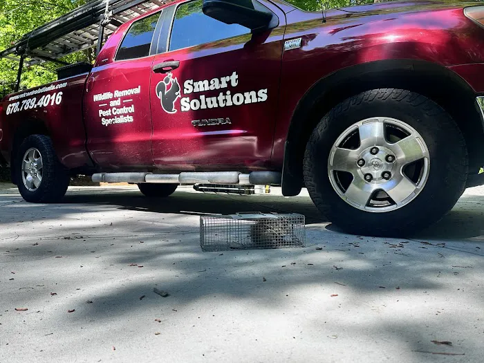 Smart Solutions Wildlife Removal Picture 8