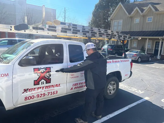 Xceptional Wildlife Removal Picture 4