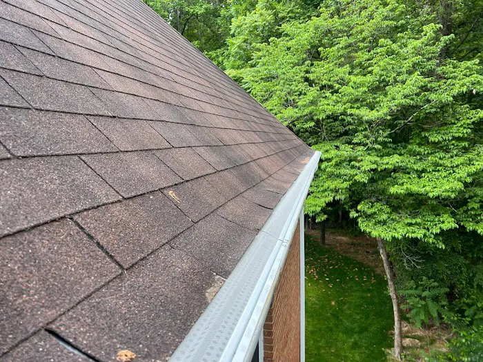 Xceptional Wildlife Removal Picture 2