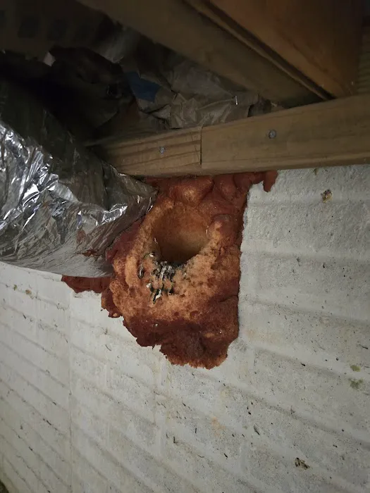 Xceptional Wildlife Removal Picture 8