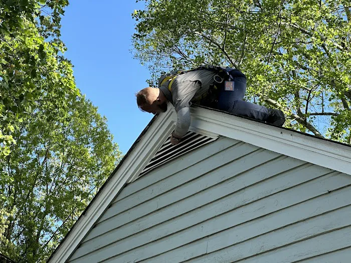 Mayday Pest Control Picture 6