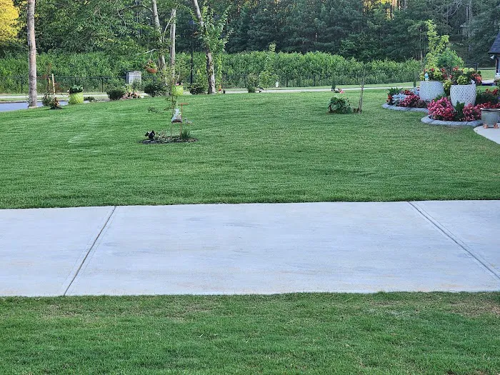 Northwest Exterminating - East Cobb Picture 3
