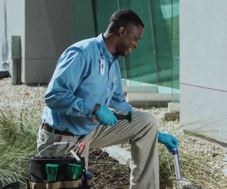 Cook's Pest Control