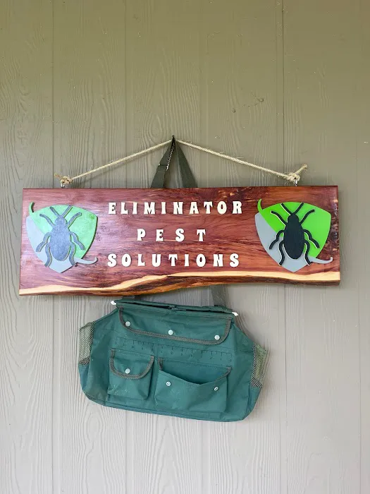 Eliminator Pest Solutions Picture 5