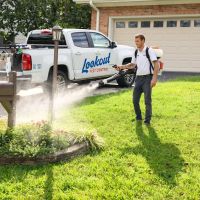 Lookout Pest Control ico