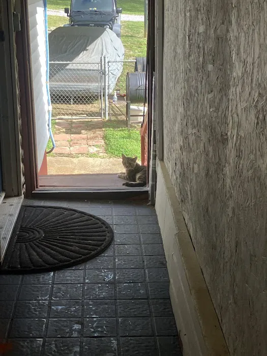 Lookout Pest Control Picture 6