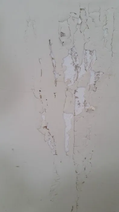Earth Right Exterminating LLC Picture 8