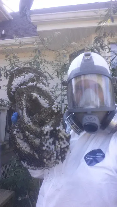 Earth Right Exterminating LLC Picture 2