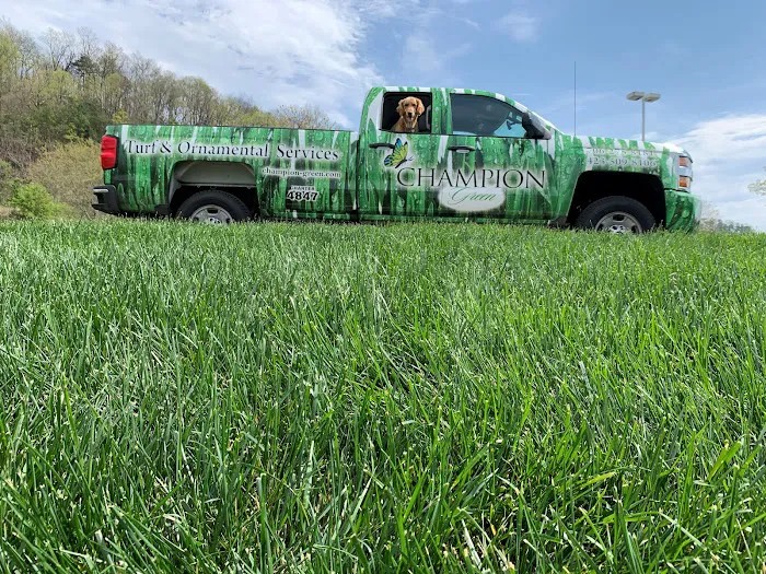 Champion Green Turf & Ornamental Services, LLC Picture 10