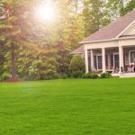Champion Green Turf & Ornamental Services, LLC