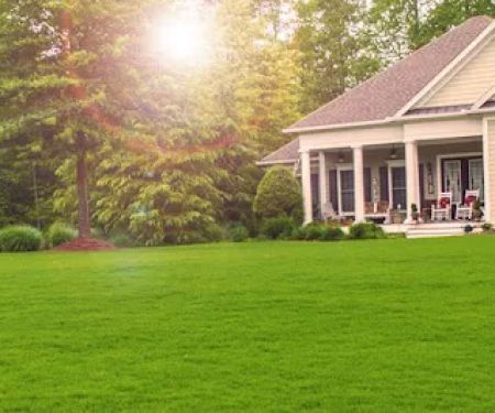Champion Green Turf & Ornamental Services, LLC