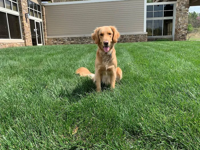 Champion Green Turf & Ornamental Services, LLC Picture 4