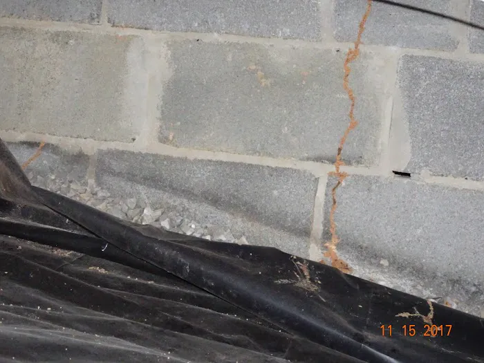 Battlefield Pest Services Picture 5