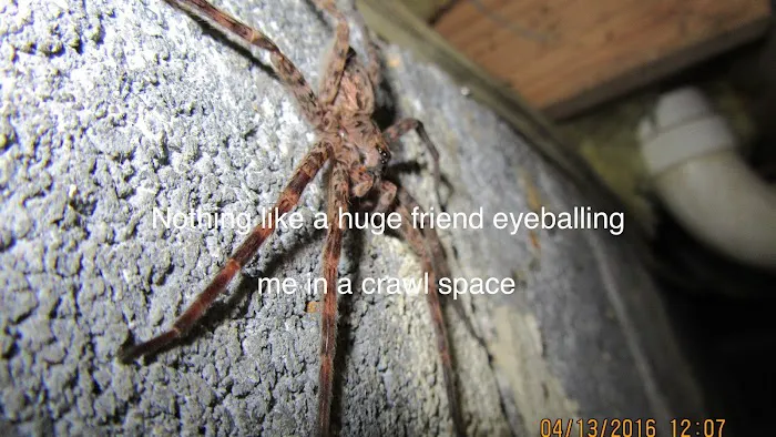 Battlefield Pest Services Picture 2