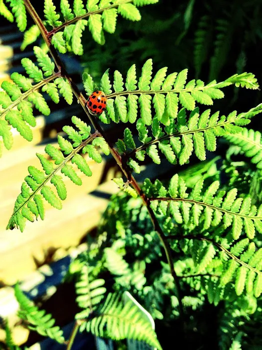GPM Termite and Pest Solutions Picture 6