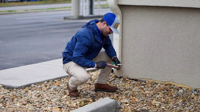 Bug Busters Inc. Picture 4