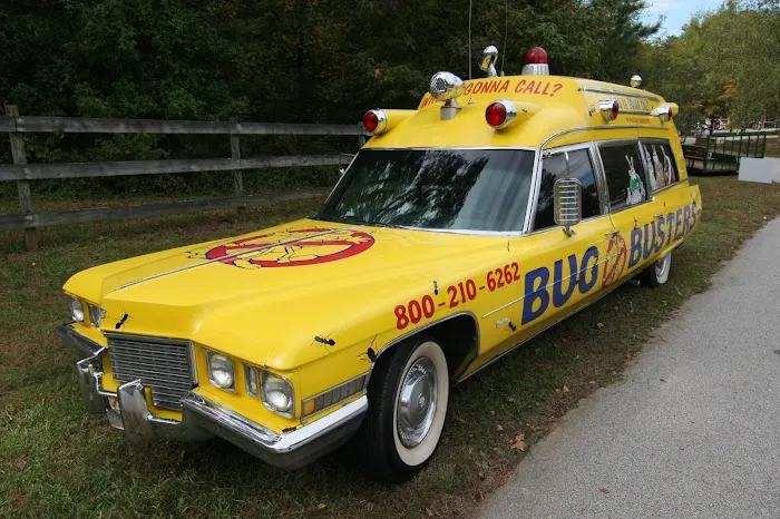 Bug Busters Inc. Picture 2