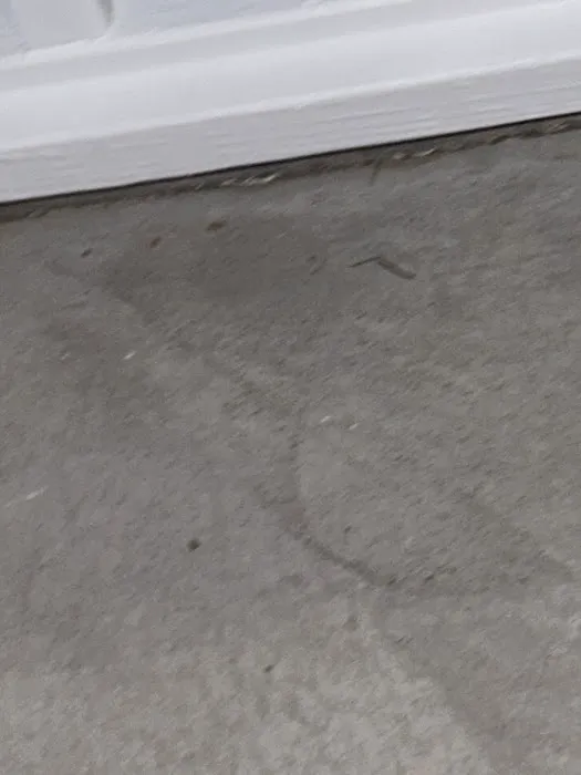 Bug Busters Inc. Picture 9