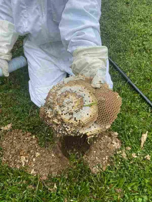 Bulwark Exterminating Picture 5