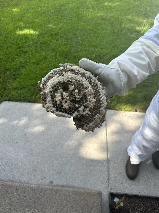 Bulwark Exterminating Picture 1