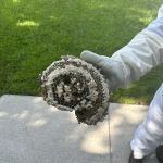 Bulwark Exterminating
