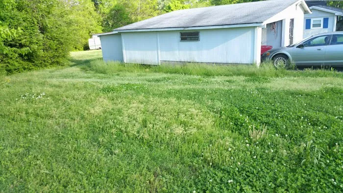 Middlebrooks Pest Solutions Picture 7