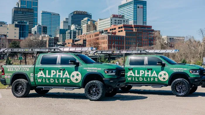 Alpha Wildlife Chattanooga Picture 6
