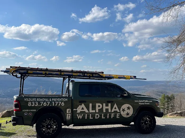 Alpha Wildlife Chattanooga Picture 5