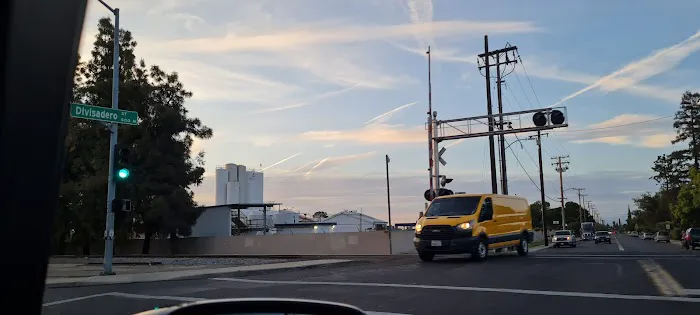 Scenic City Pest Control Solutions Picture 5