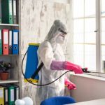 Scenic City Pest Control Solutions