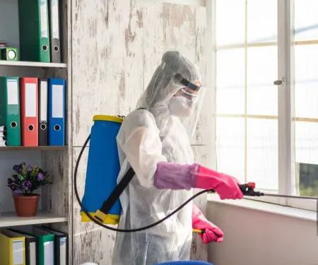 Scenic City Pest Control Solutions