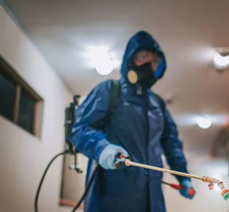 Scenic City Pest Control Solutions Picture 7