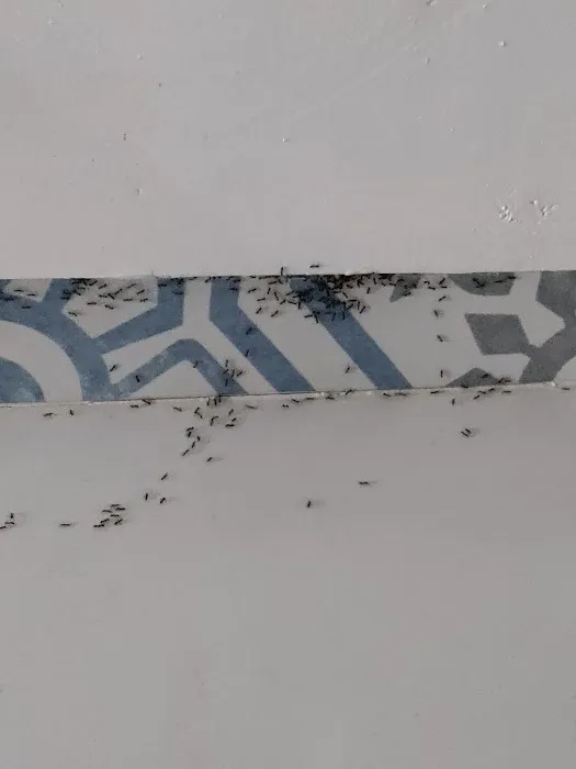 TruNorth Pest Control Picture 4