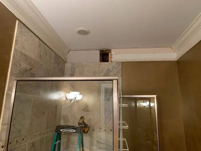 Daps Pest Services Picture 2